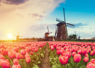 Нидерланды  - Cтрана ветряных мельниц, тюльпанов и каналов