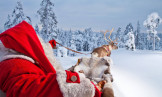 Финляндия 24.-28.12