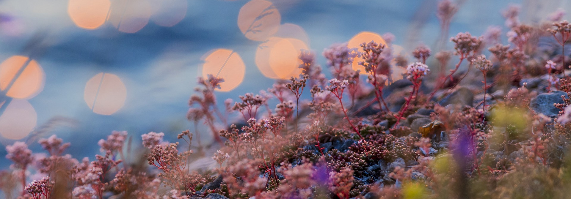 Igaunija Nesteidzīga atpūta Pērnavā, 14.-15.02