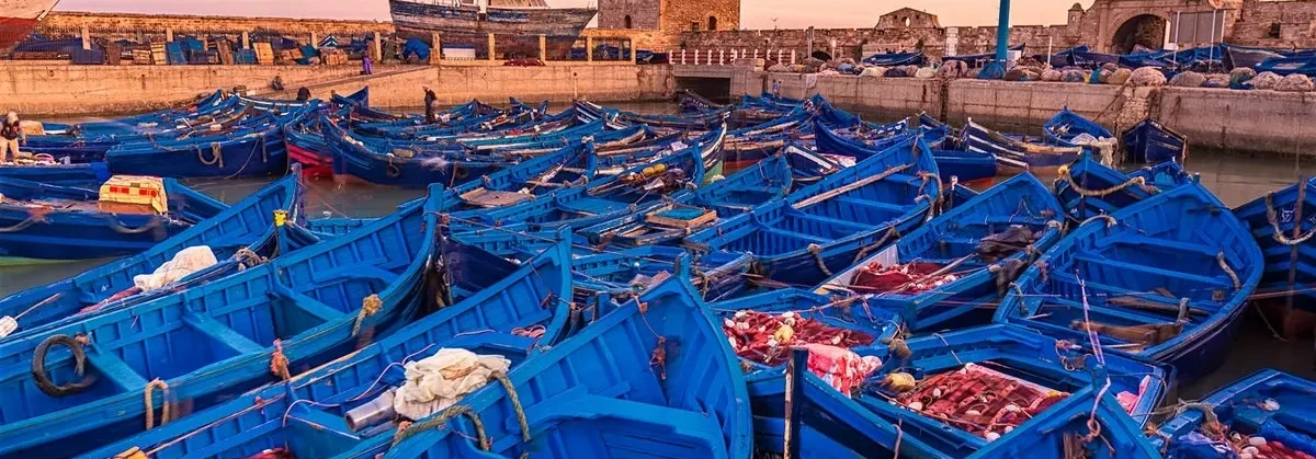 Марокко Марракеш и соблазн океана 14.-21.02