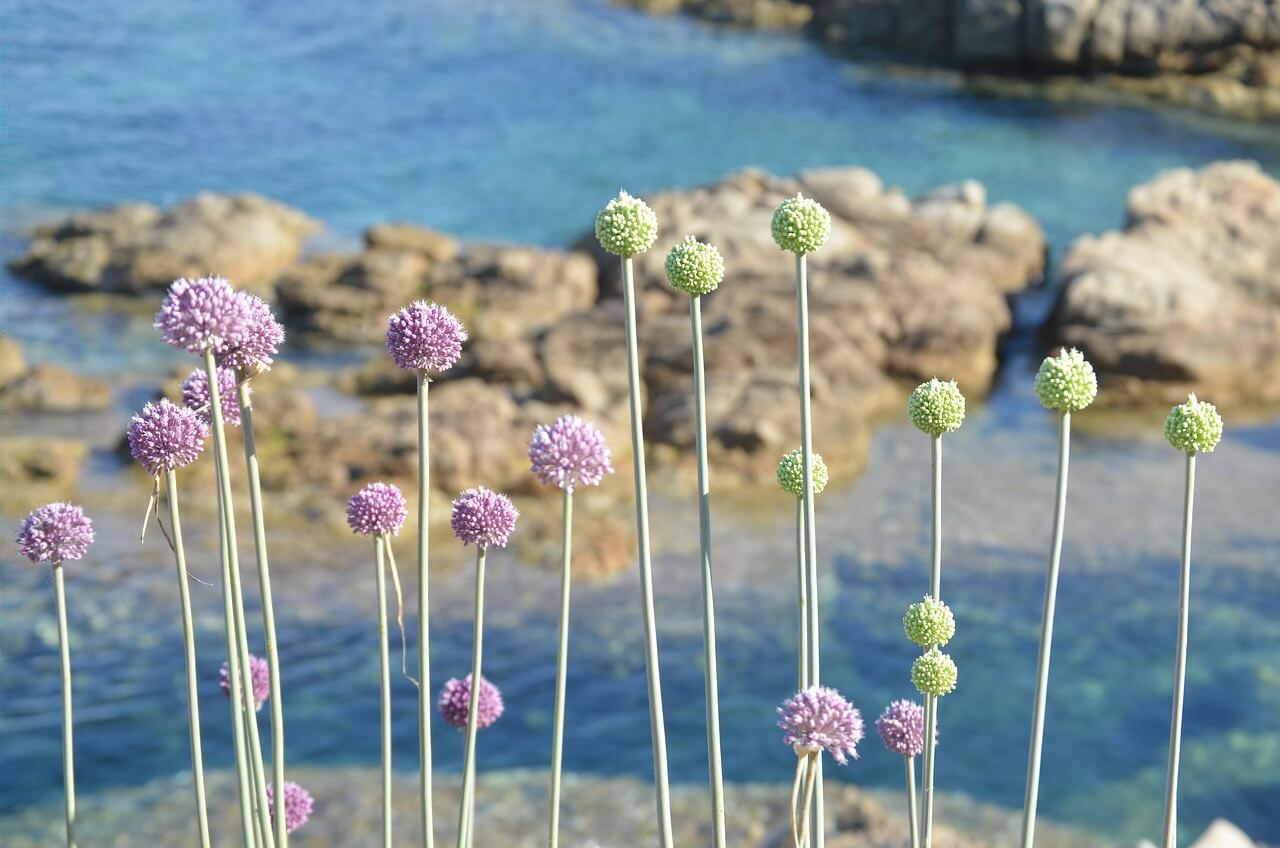 Италия - Олбия и отдых на Сардинии 2