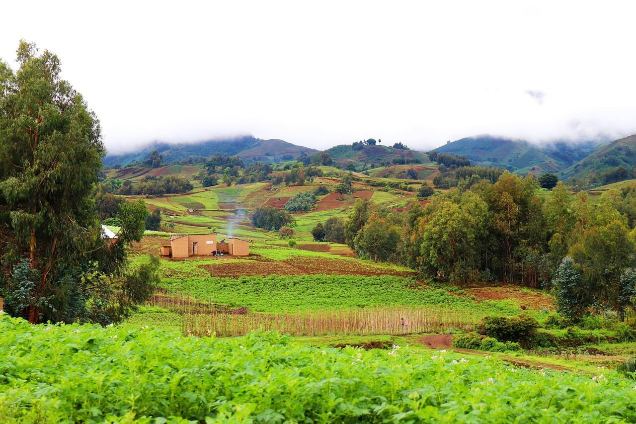 Tanzānija - "Lielais piecinieks" 4