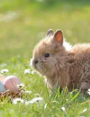 Путешествия