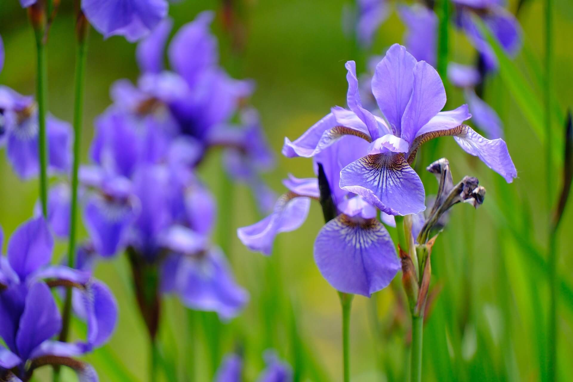 07.-14.03. Хорватия - Навстречу солнцу, 280 € (на автобусе)