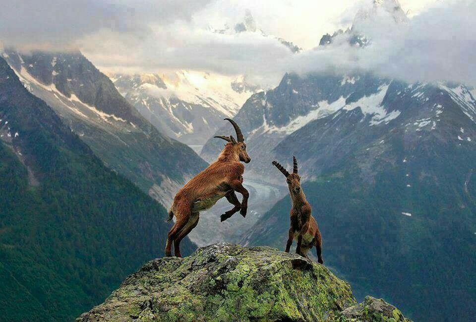 Грузия в сезон урожая